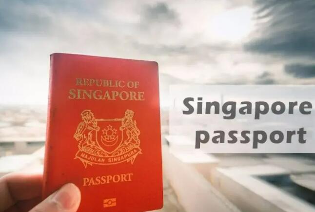 新加坡签证种类有哪些？