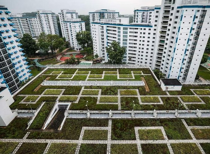 新加坡：无人机热成像研究绿化屋顶和隔热漆降温效果