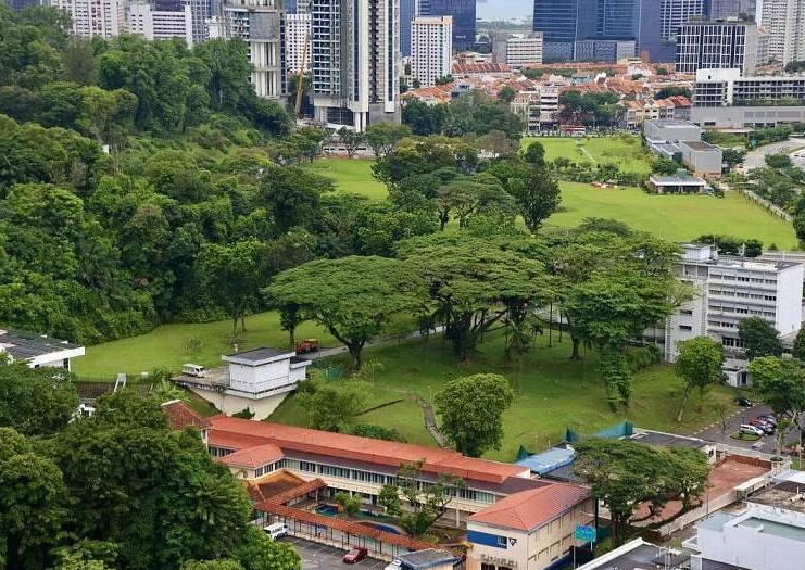 新加坡：珍珠山重塑，市建局规划解析